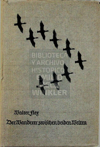 Original Document numérique not accessible