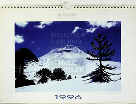 Calendario 1996 DCB
