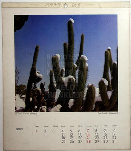 Calendario 1979 DCB