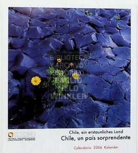Calendario 2006 DCB. Chile, ein erstaunliches Land. Chile, un país sorprendente