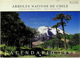 Calendario 1999 DCB. Árboles nativos de Chile