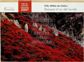 Calendario 2007 DCB. Chile, Wälder des Südens. Bosques al sur del mundo