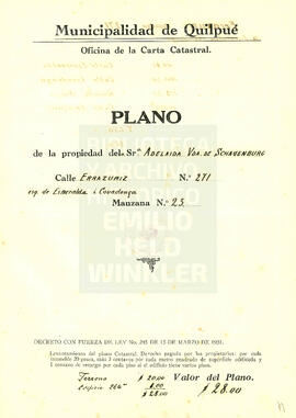 Calle Errazuriz 271